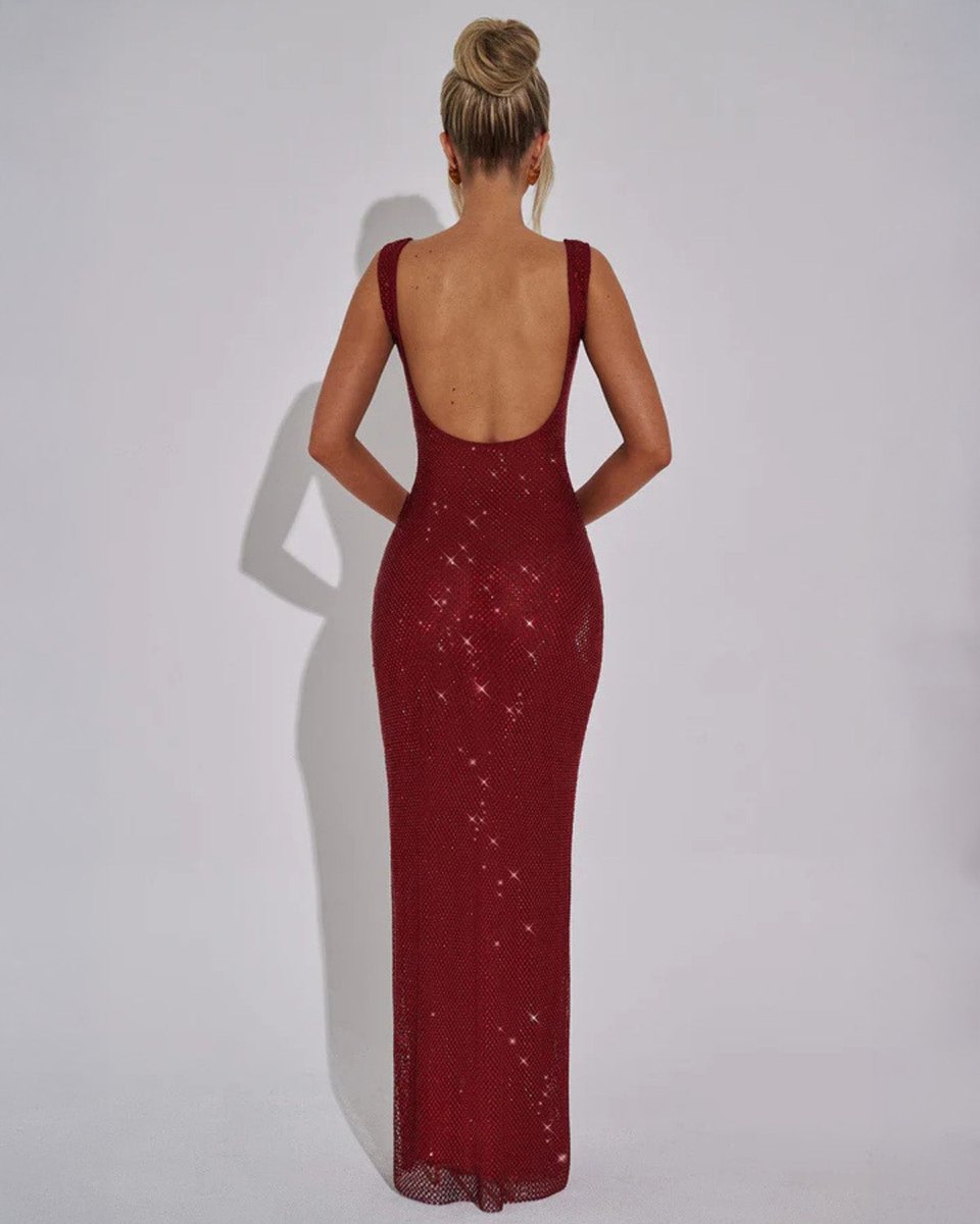 Ava | Women's Sequin Embellished Sleeveless Maxi Evening Gown