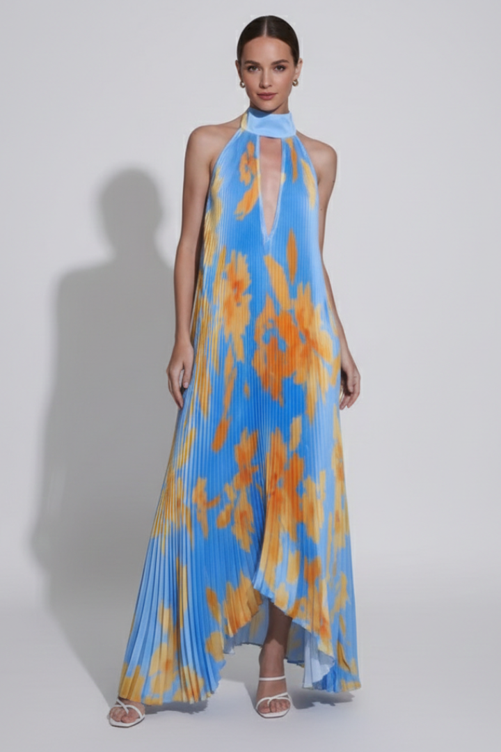 Darcey | Women’s Sleeveless Pleated Skirt Maxi Dress