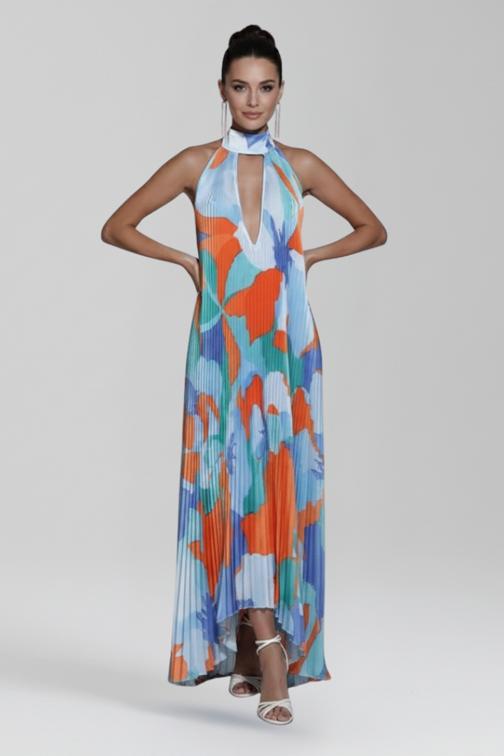 Darcey | Women’s Sleeveless Pleated Skirt Maxi Dress
