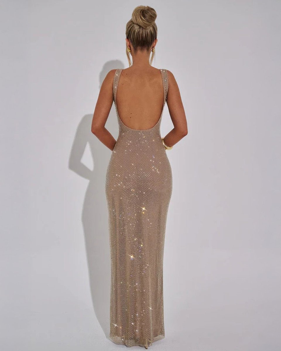 Ava | Women's Sequin Embellished Sleeveless Maxi Evening Gown